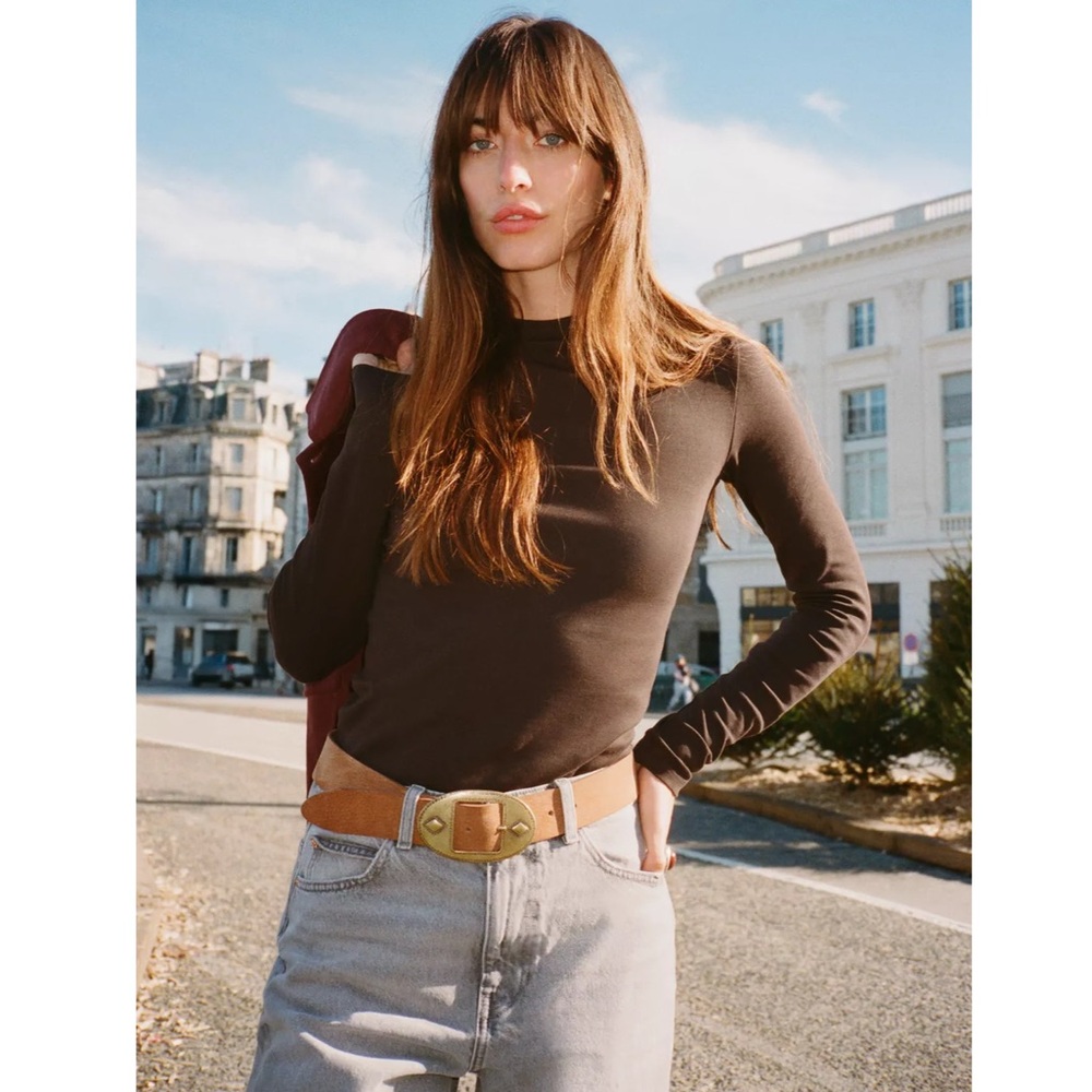 Zara Turtleneck T-Shirt in Chocolate Brown Size Small NWT 2335/643